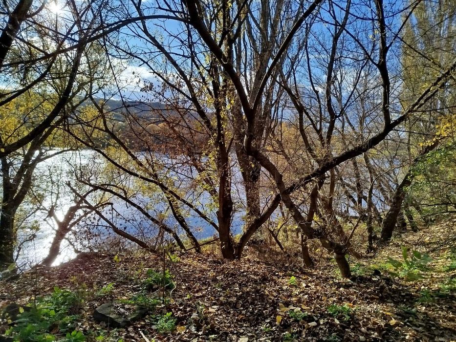 Продається будинок у центральній частині міста