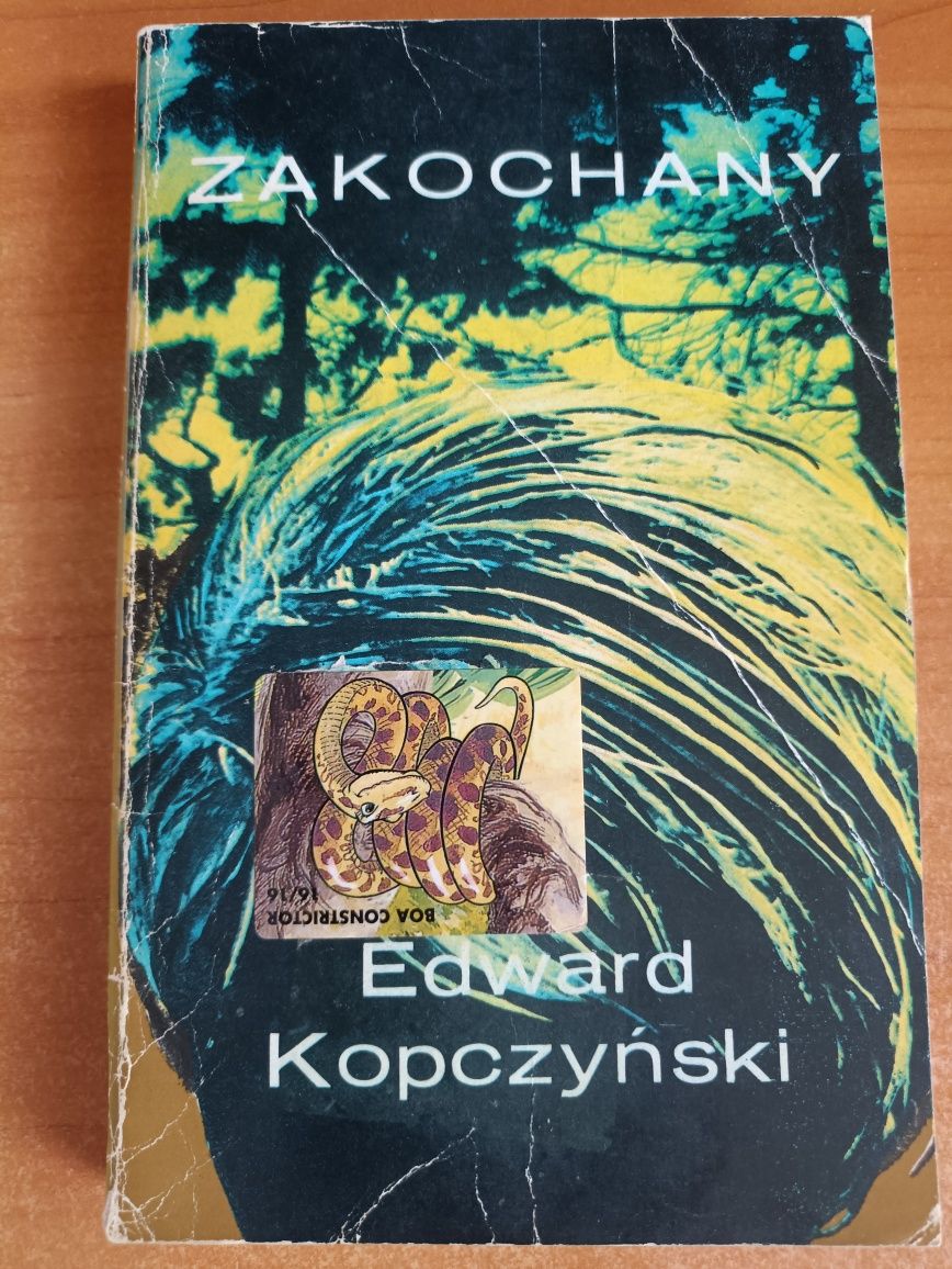 Edward Kopczyński "Zakochany"