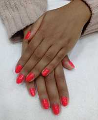 Manicure/Pedicure e designer de sobrancelhas