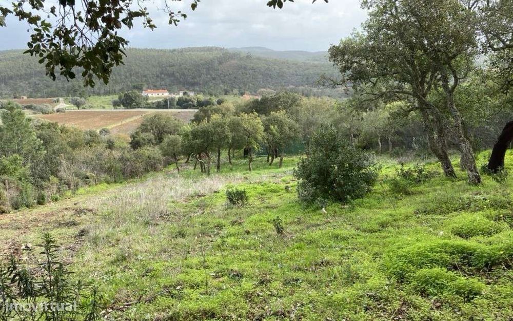 Terreno Rústico com Armazém