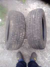 Ризина зимова на175/65R14