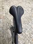 Selim Selle Royal