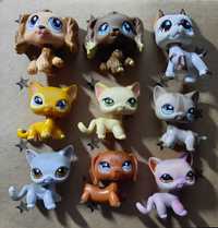 LPS Littlest Pet Shop Pop na wymianę shorthair jamnik spaniel dog