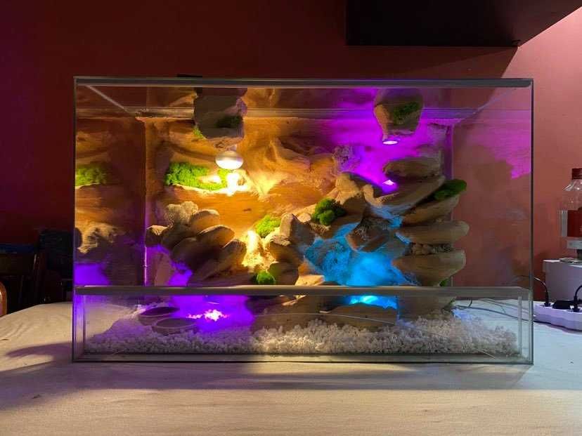 Terrarium Dla Gekona, Agamy, Węża i inne