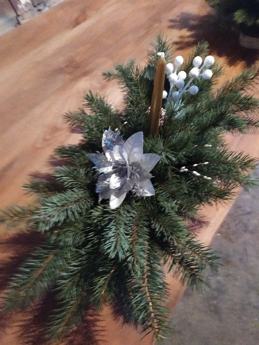 choinki Garbow jodla swierk z wlasnej plantacji