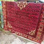 Perski Zanjan Iran 309cmx200cm