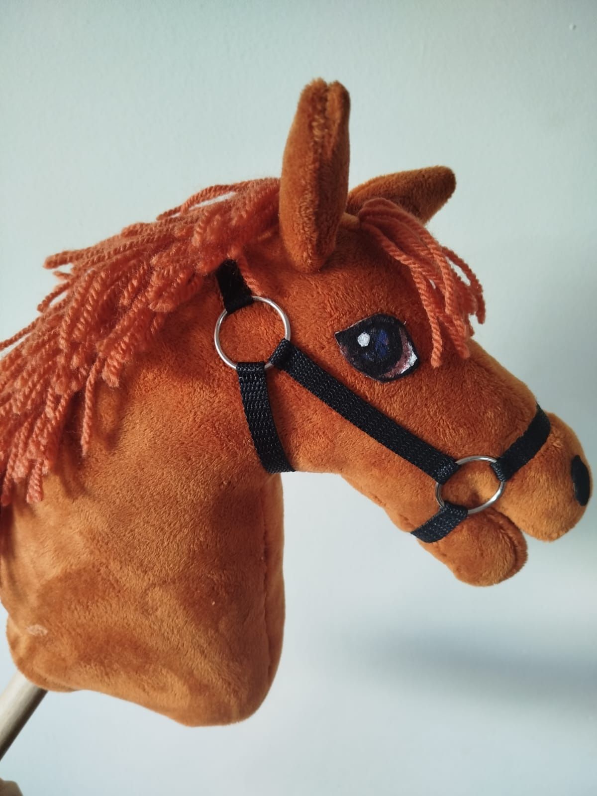 Hobby horse rudy A4