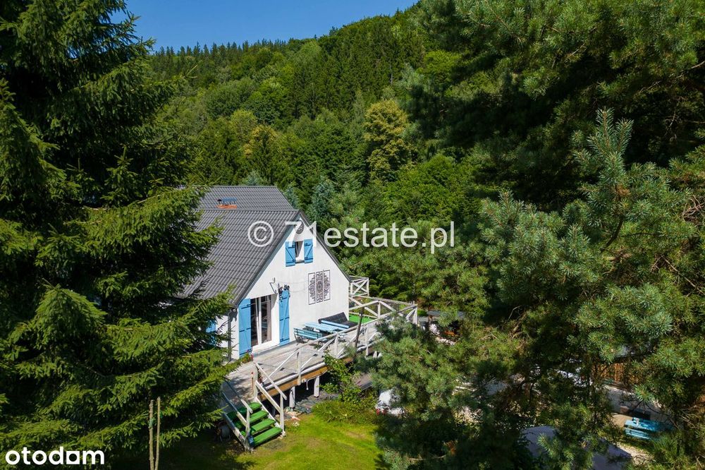 Pensjonat/3 niezależne Apartamenty w górach Bystrzyckich