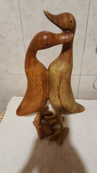 Casal de patos enamorados