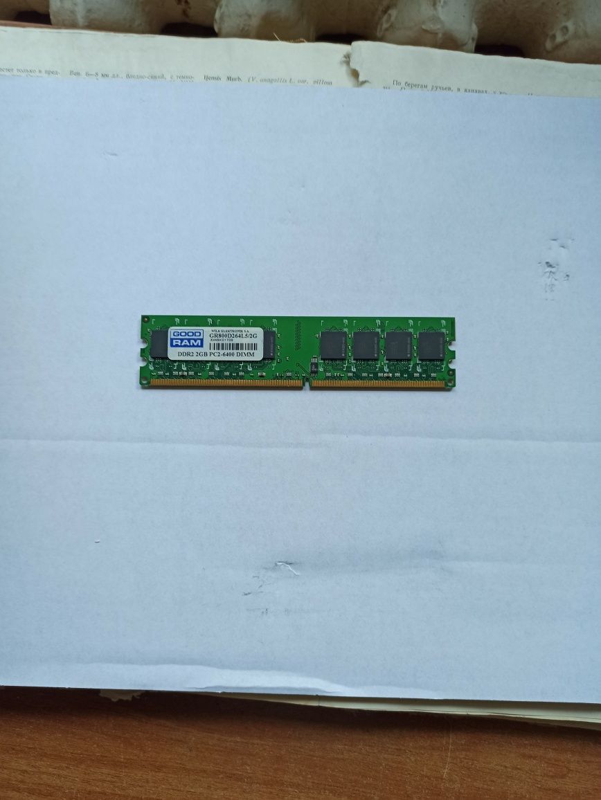 Оперативна пам'ять DDR2 2GB PC2-6400 DIMM