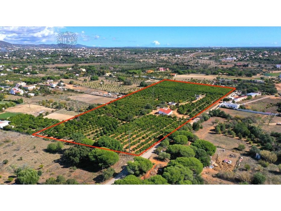 Terreno com casa rústica com projeto aprovado em Fonte Santa