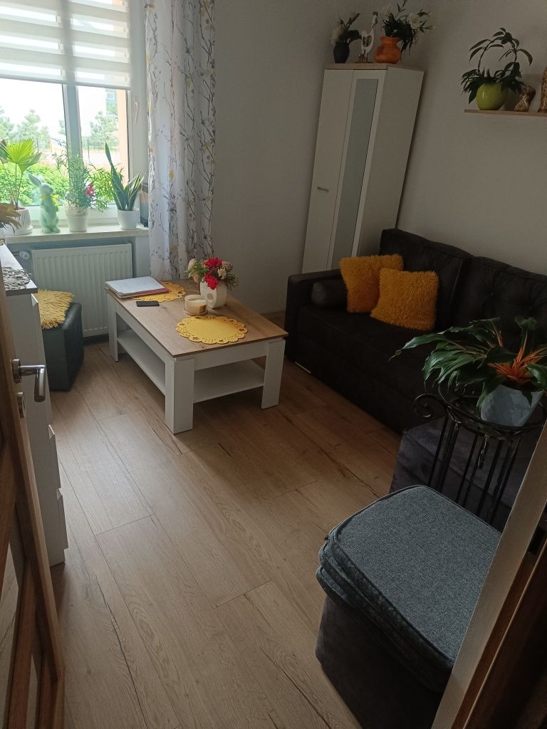 Pokój dwu osobowy do wynajęcia
