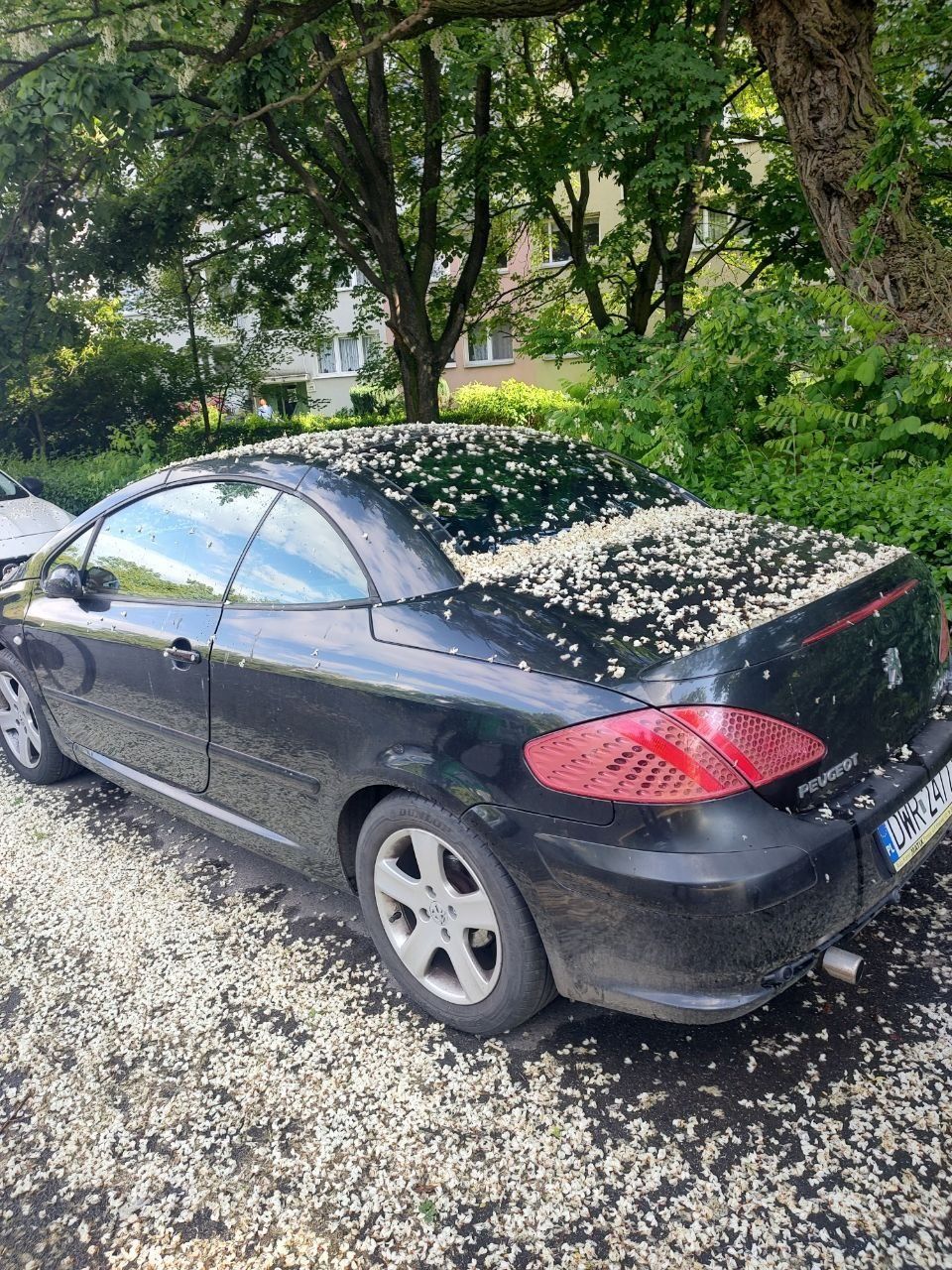 Cabrio Peugeot 307cc 2.0b/g