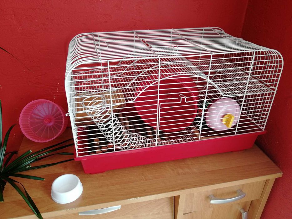 Akcesoria wyposażenie klatki chomika świnki morskiej