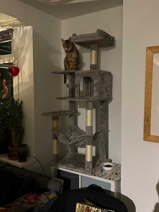 Drapak dla kota Wysoki duży drapak dla kota domek legowisko 143cm NOWY