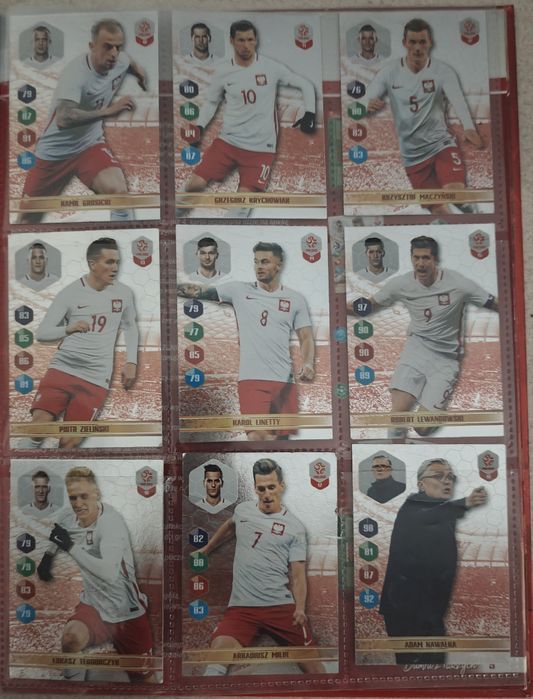 Album „Dumni z naszych” 2018 + komplet kart – Edycja kolekcjonerska