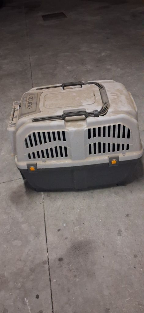 Transportadora cães