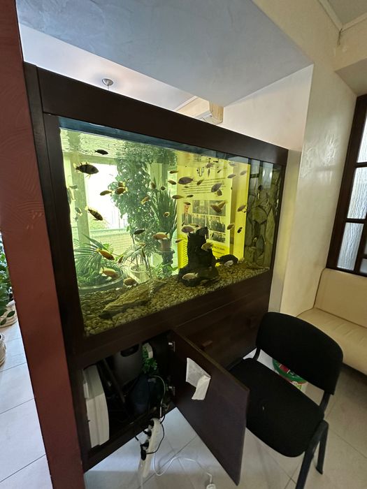 Аренда офис214м2 без комисии мебель ПаркШевченко 6 каб к морю 500 метр