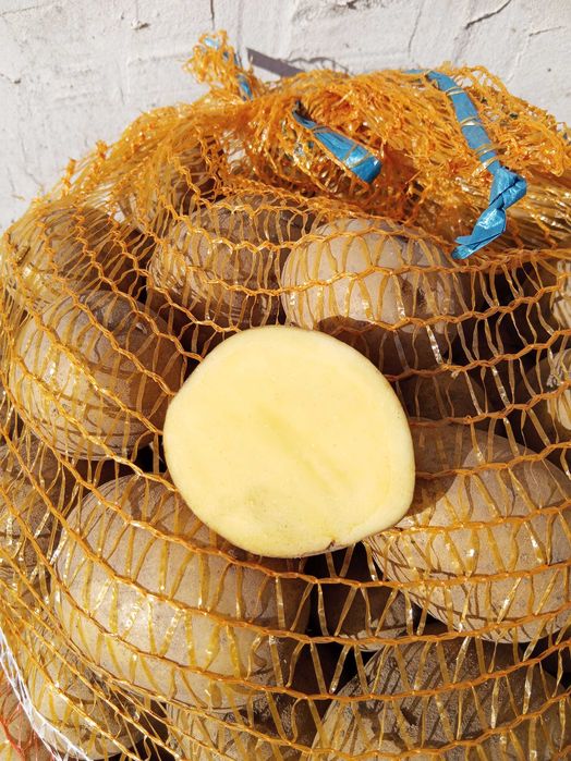 Ziemniaki żółte Gala