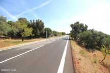 Terreno rustico, situada em Barrocal das Cortes, Messines