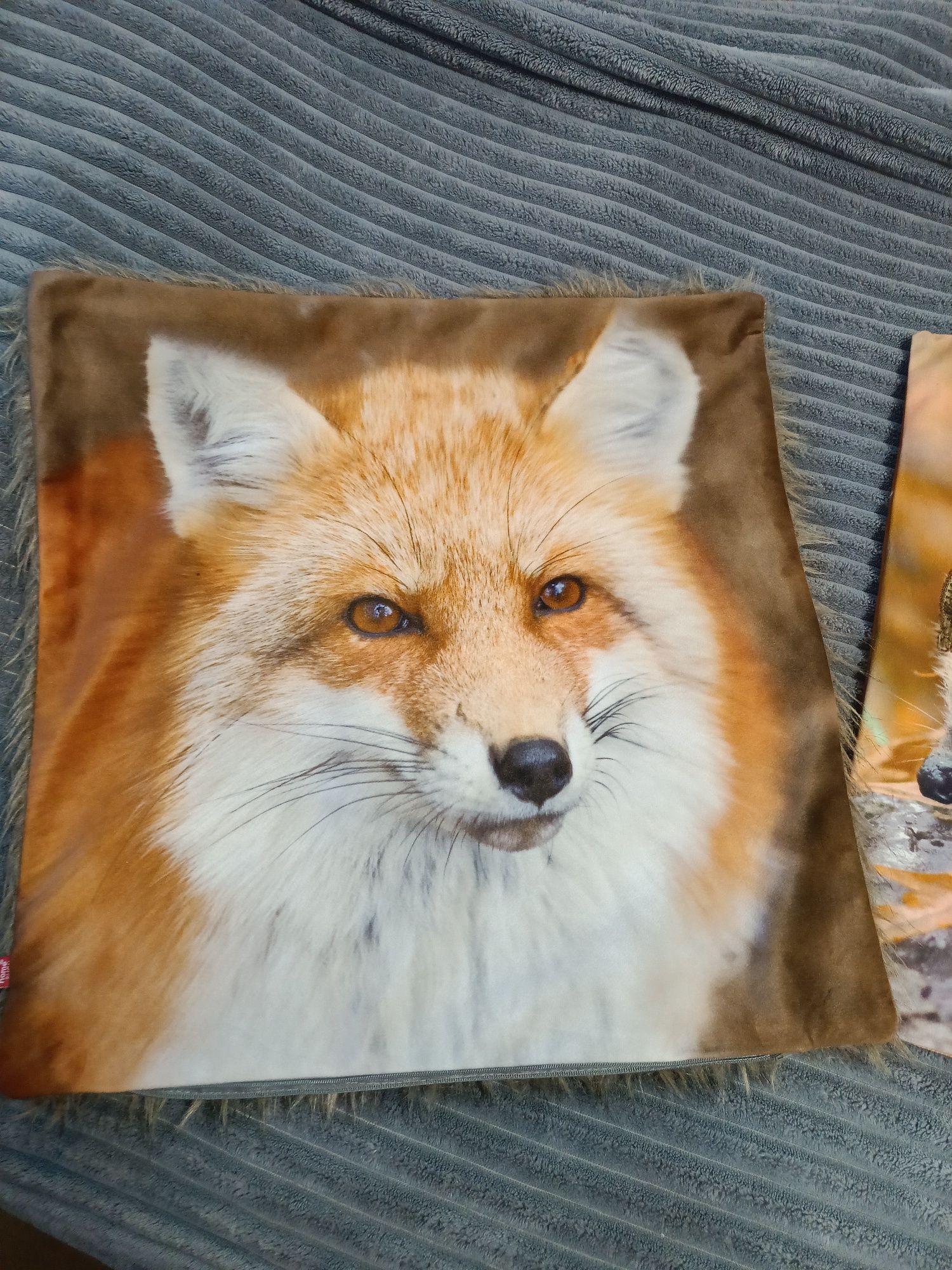 Poszewka jesienna jeż 45x45 home you