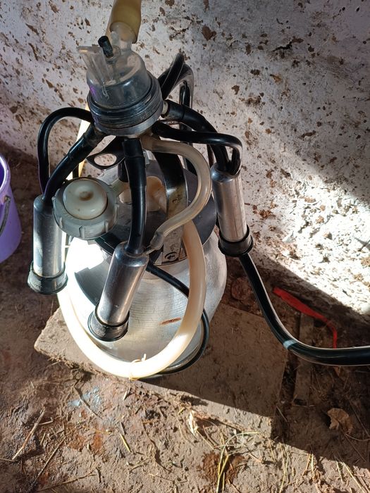 Доїльний апарат  2018 року