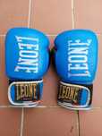 Luvas Boxe LEONE Prestige 2.0
