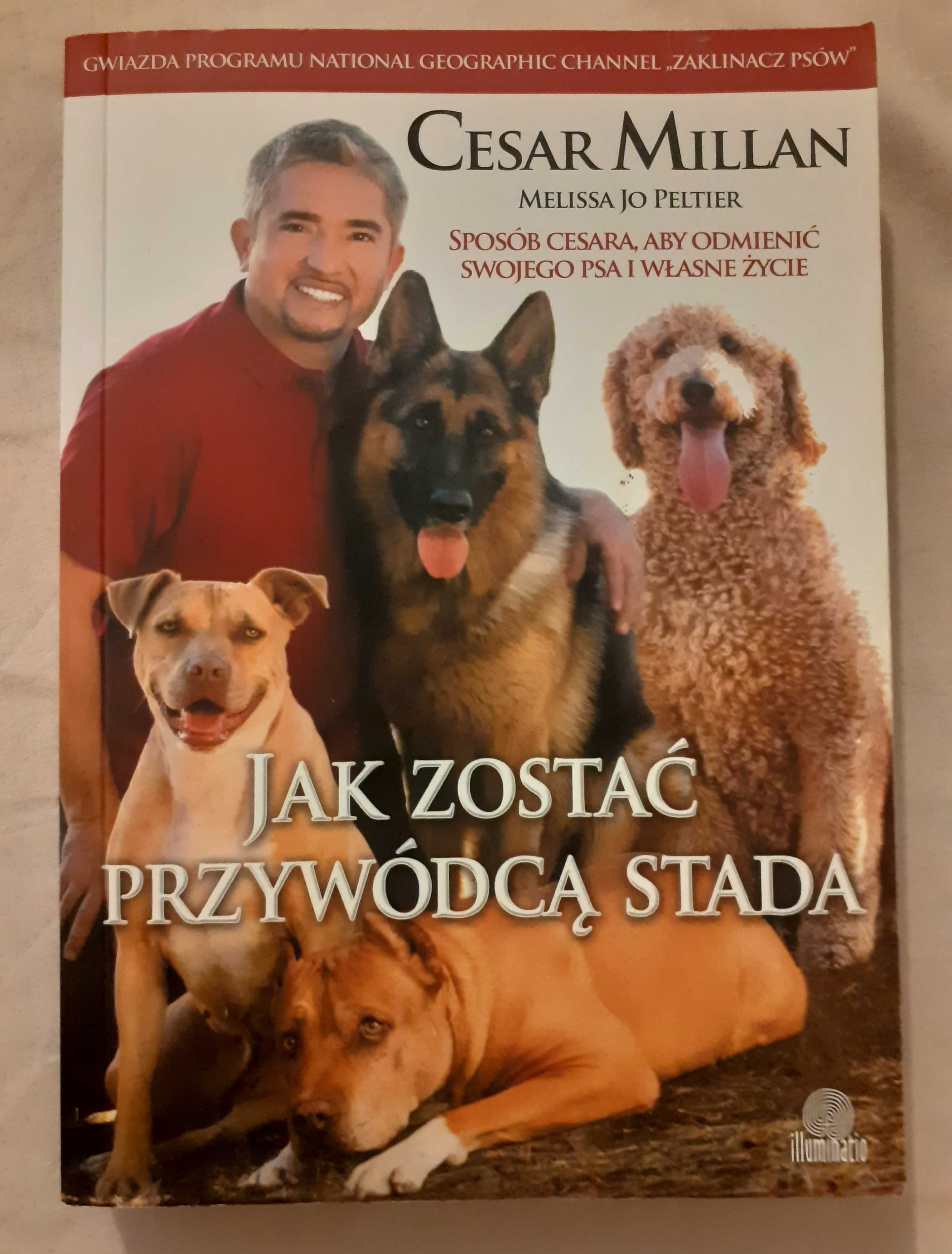 Jak zostać przywódcą stada Cesar Millan