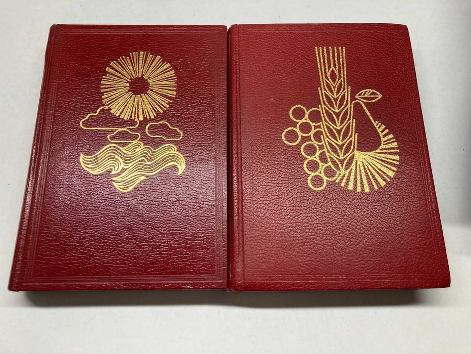 2 Livros- A Saúde Pelos Tratamentos Naturais e A Saúde Pelos Alimentos