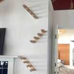 Escada de escalada para gatos