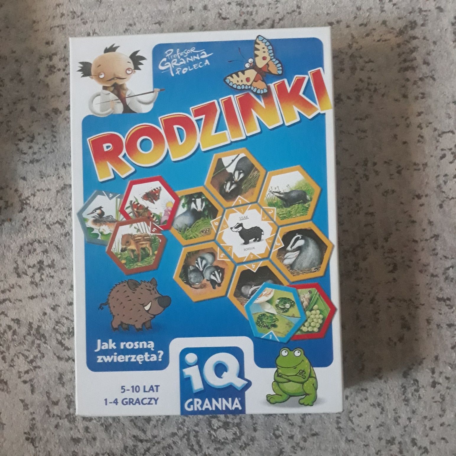 Granna gra edukacyjna rodzinki iq