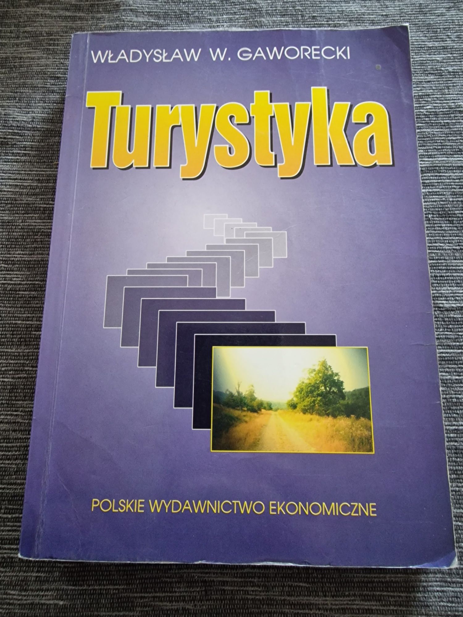 Turystyka W.Gaworecki PWE