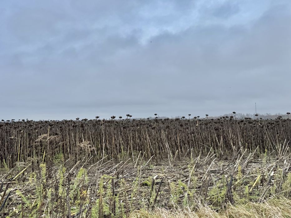 Земельна ділянка 20,17 га! с.Небелиця