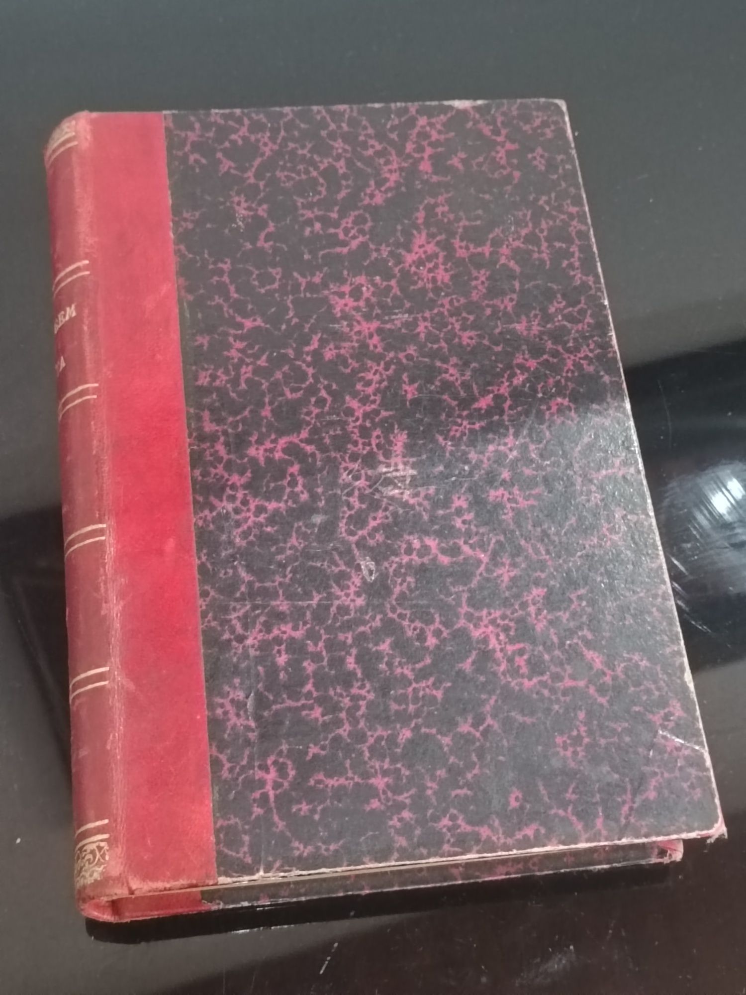 Livro   A Virgem Santa