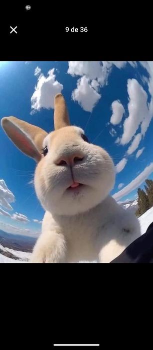Casa no rio em terreno rústico