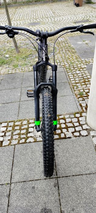 Dartmoor  hornet 2022 PILNEEE