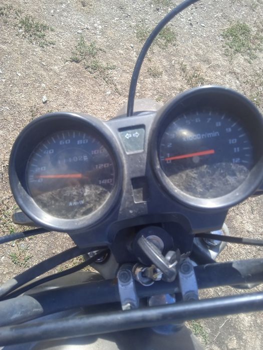 Мустанг дінго 125