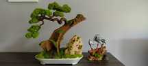 Drzewko bonsai duże mech chrobotek