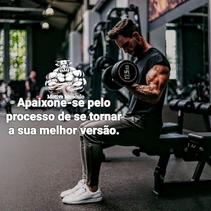 Planos de treino individuais online