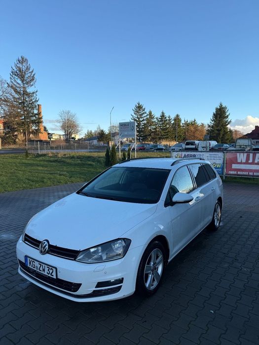 Volkswagen Golf Volkswagen Golf 7 2016 rok 2.0 tdi 390 tyś km