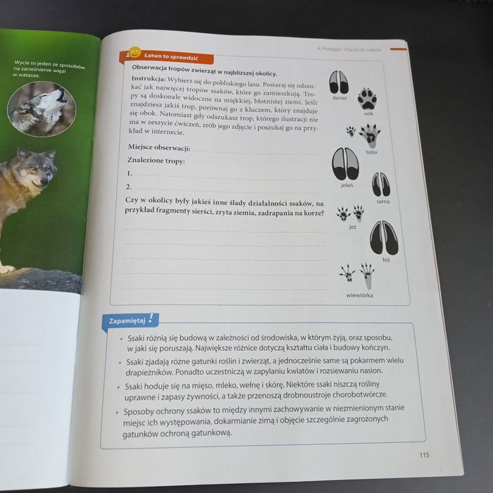 Zeszyt ćwiczeń biologia klasa 6 Puls życia Nowa Era 2022