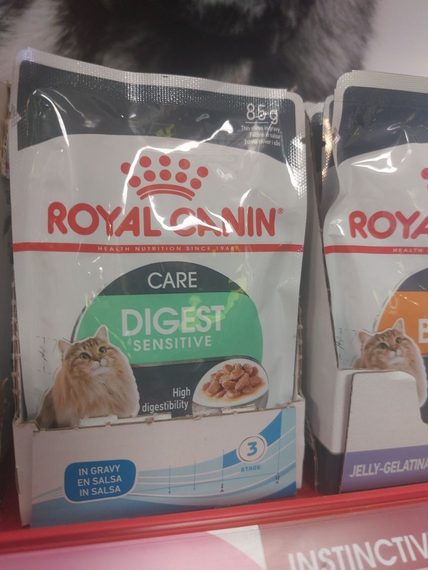 Karma Royal canin