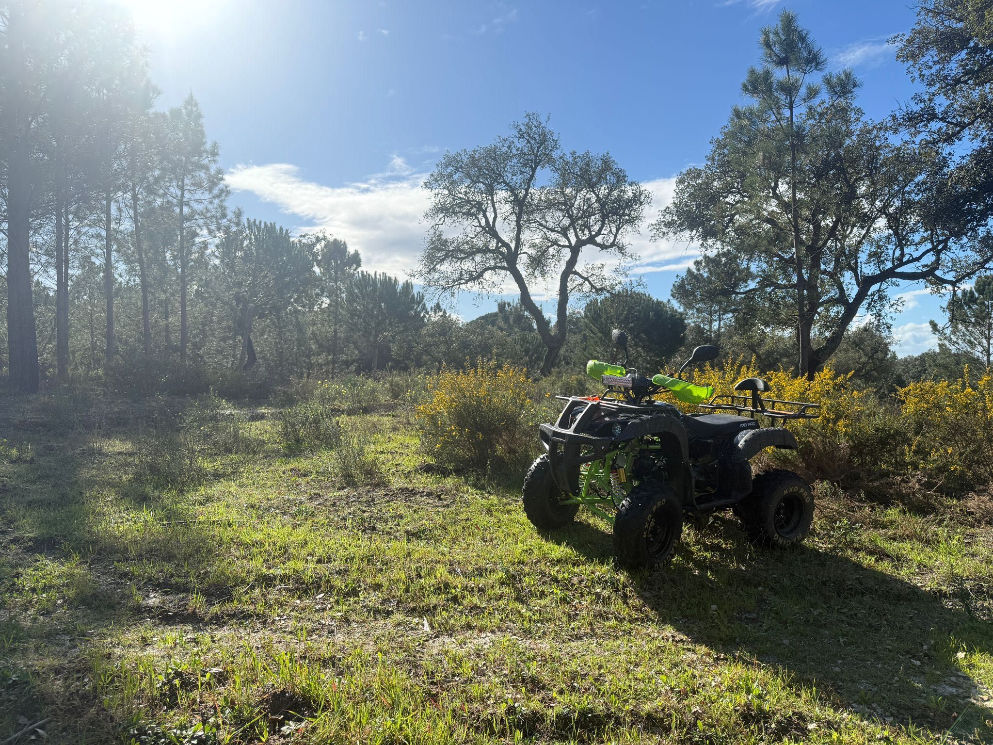 KXD Pro 200cc ATV QUAD 70km's