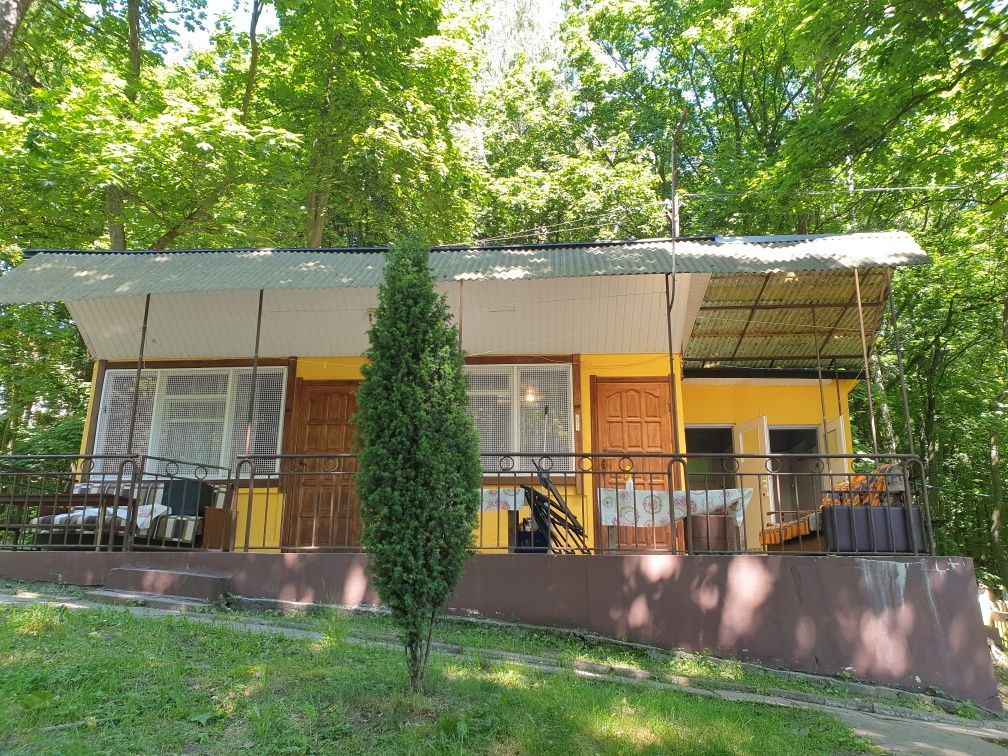 Domki letniskowe nad morzem           
 Krynica Morska