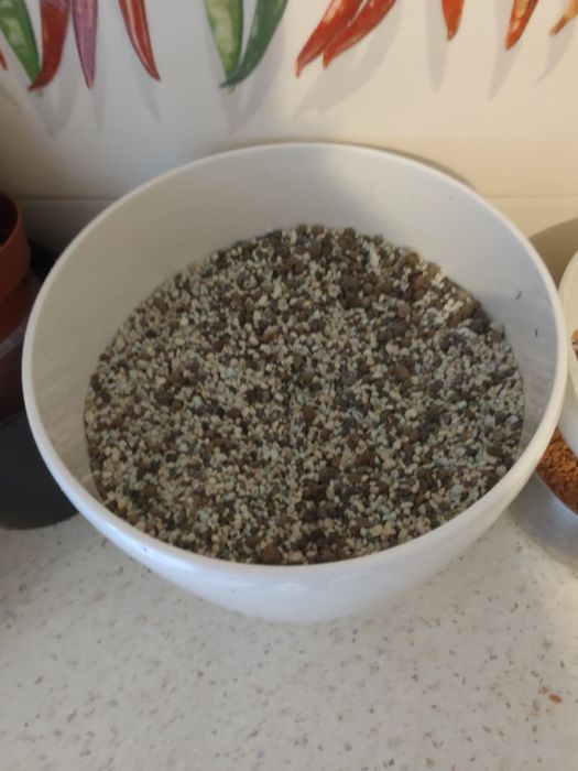 Mieszkanka do monster i filodendronów + ozdobna donica (osłonka)