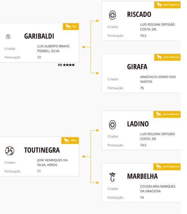 Puro Cavalo Lusitano