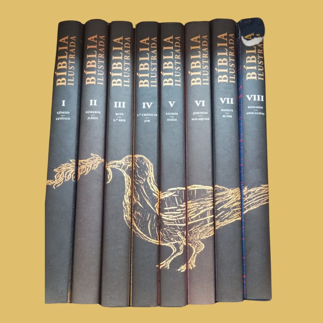 Bíblia Ilustrada - 8 Volumes