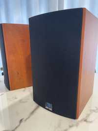 Focal chorus 705