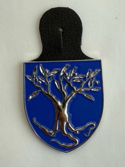 Crachá militar Direcção de Educação Exército