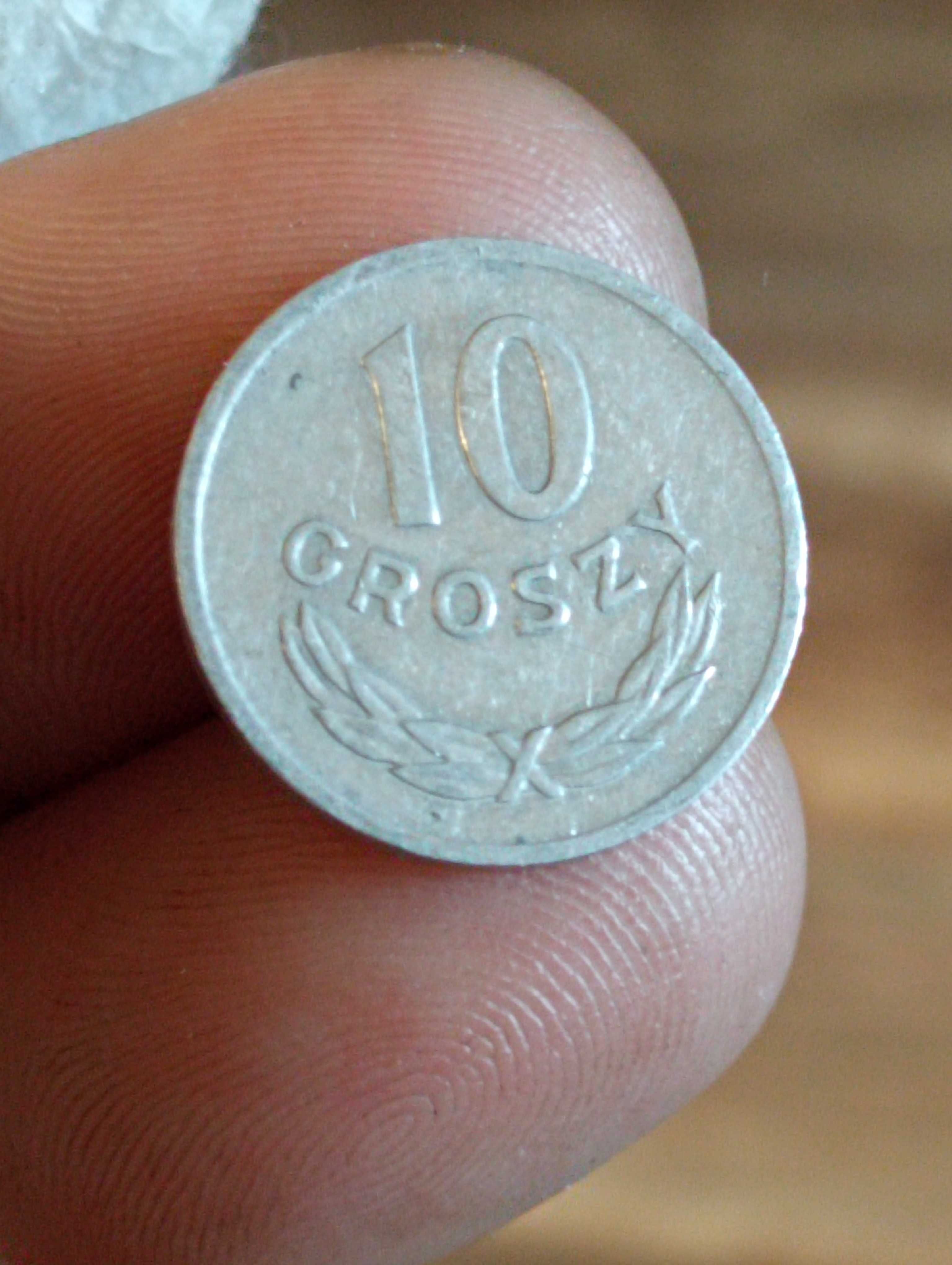 sprzedam monete 10 groszy 1971 r zzm